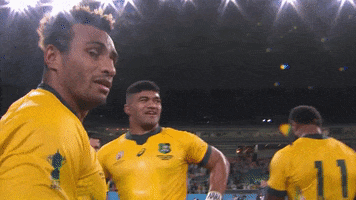 World Rugby Hello GIF by Rugby World Cup