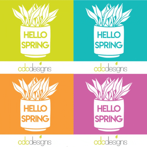 Colors Spring GIF by CDC Designs