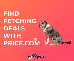 Fetch Good Boy GIF by price.com