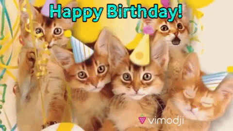 Featured image of post Kitten Happy Birthday Gif Cat The best gifs of happy birthday cat on the gifer website