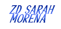 Sarahmorena Sticker by Protec Horse