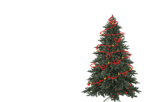 Christmas Aseagle GIF by Arthurs Seat Eagle