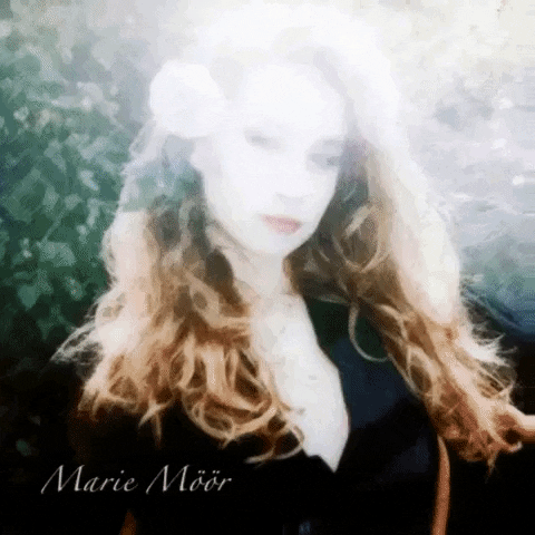 marie möör poetry GIF by THEOTHERCOLORS