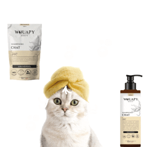 Wouapy Sticker