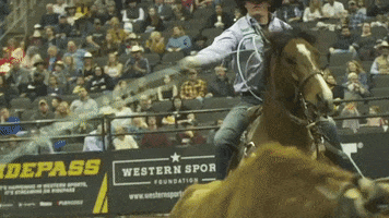 Rodeo Team Roping GIF by Professional Bull Riders (PBR)