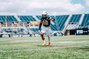 Football College GIF by FIU