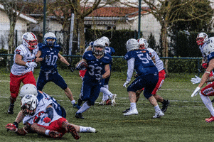 Lions de Bordeaux GIF