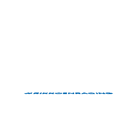 VDR Gevelreiniging Sticker