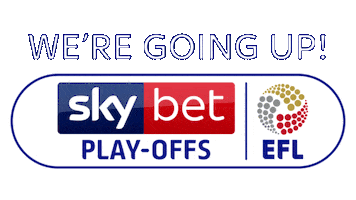 Happy Aston Villa Sticker by Sky Bet