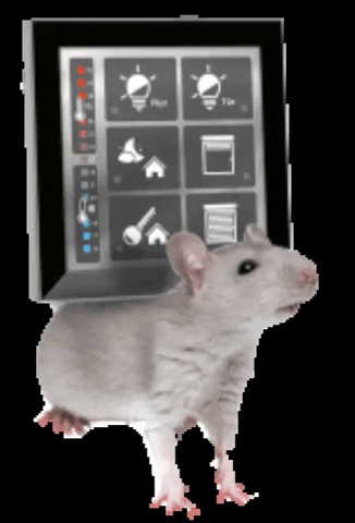 Rat Smarthome GIF by LCN ISSENDORFF