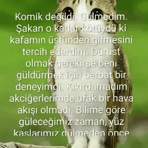 Sakan GIF