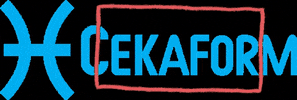 Cekaform Istanbul GIF