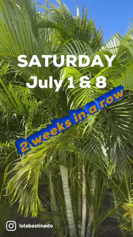 Saturday July 1 8 GIF