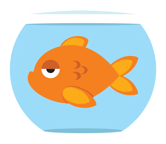 Sticker Fish GIF by aaron frey