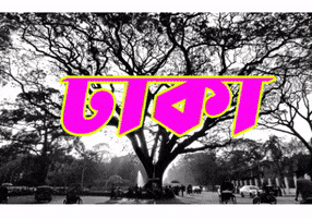 Dhaka University Bangladesh GIF by GifGari