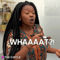 What GIF by The Circle