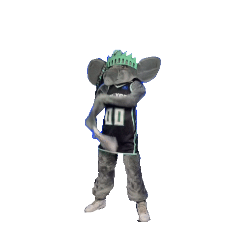 New York Liberty Basketball Sticker