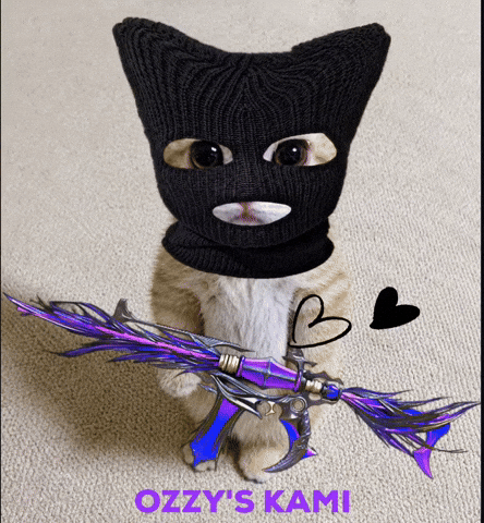 Black Mask Cat GIF