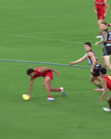 Gold Coast Suns Afl GIF