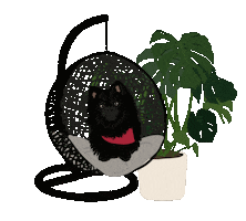 Planterior Decorator Sticker