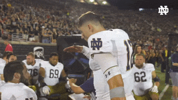 High Five College Football GIF by Notre Dame Fighting Irish