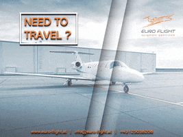 EuroFlight GIF