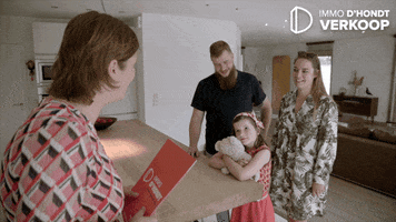 IMMO D'HONDT GIF
