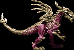 90S GIF