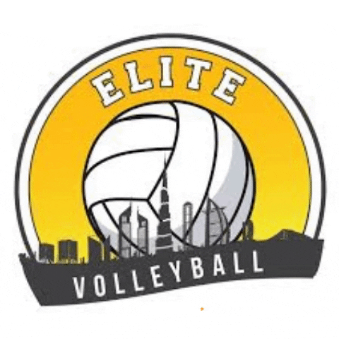 Elite Volleyball Academy Dubai GIF