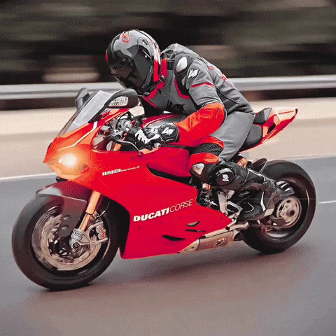 Racing Rabbit GIF