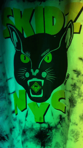 SKIDZ cat trippy psychedelic 90s GIF