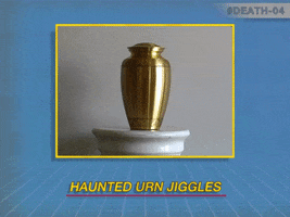 200.gif?cid=fc005b0864c67c1cd5b03a995378a2d606e283aedce5b705&rid=200.gif&ct=g