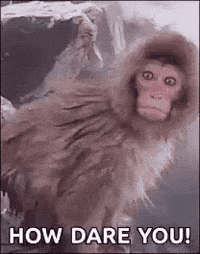 How-dare-you GIFs - Get the best GIF on GIPHY