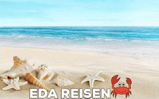 Eda Reisen GIF