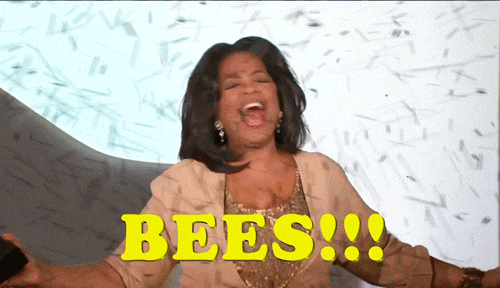 oprah meme bees