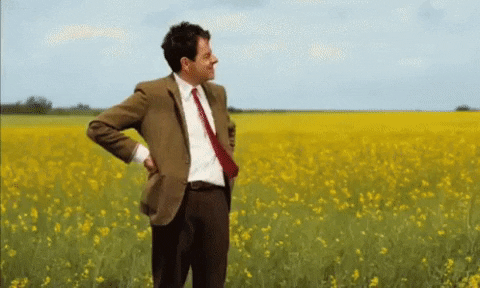 Image result for mr bean watch gif