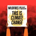 Climate Change Protest