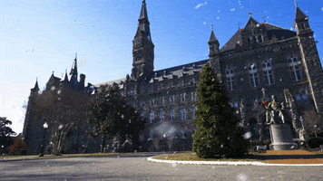 Jack The Bulldog GIF by Georgetown University