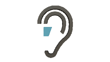Son Ear Sticker by Audilab