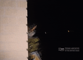 Halloween Vintage GIF by Texas Archive of the Moving Image