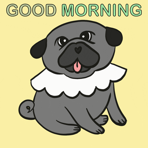 Cartoon gif. Gray pug with a heart shaped nose and wearing a frilly white collar sits cutely while tilting its head. Text above reads, "Good Morning" and shifts through different colors.
