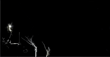 Audiovisual GIF