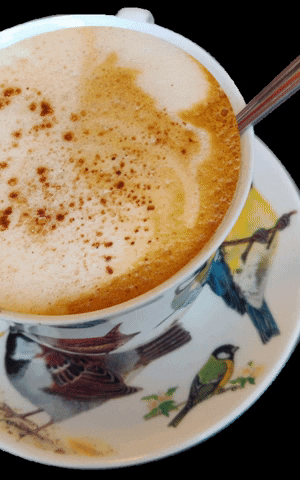 KSVS coffee drink cafe date GIF