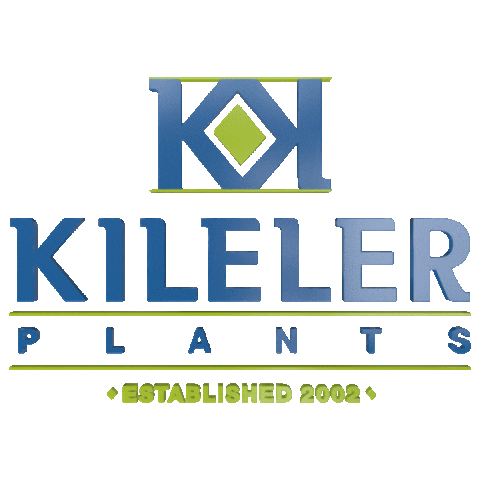 kilelerplants Sticker