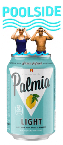 Swimming Pool Summer GIF by Palmia Beer