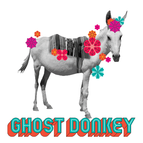 Tequila Mezcal Sticker by Ghost Donkey