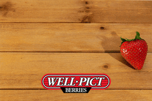 Well Pict Berries GIF