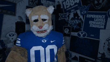 Face Palm Cosmo GIF by BYU Cougars