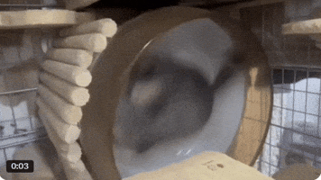 이재명 GIF