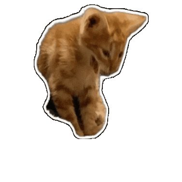 Sticker by Luna y el Tarot